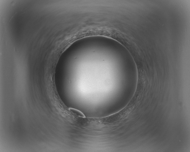 X0000060811489200511101439