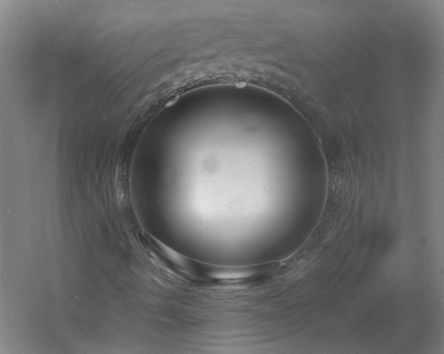 X0000060811490200511101439