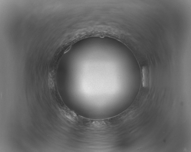 X0000060811491200511101439