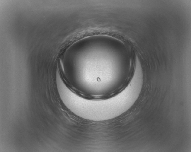 X0000060811492200511101439