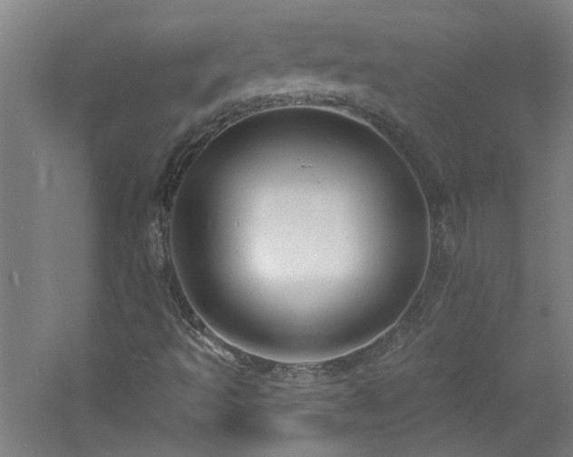 X0000060811493200511101439