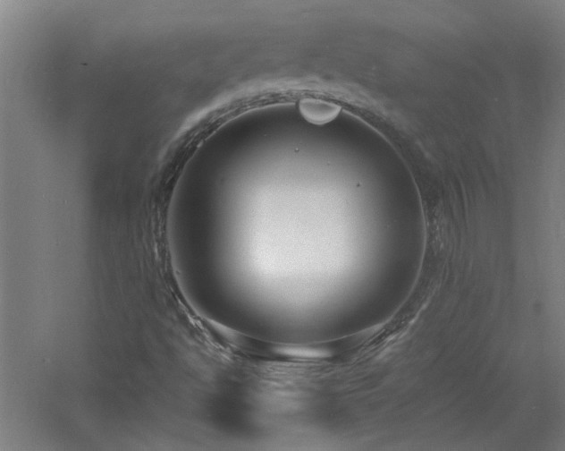 X0000060811494200511101439