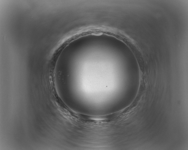 X0000060811496200511101439