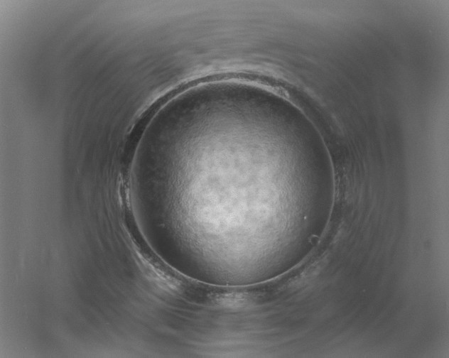 X0000060811497200511101439