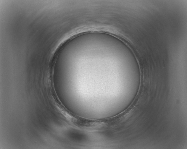 X0000060811498200511101439