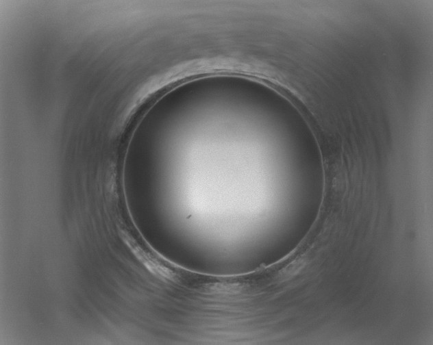 X0000060811499200511101439