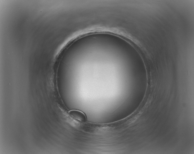 X0000060811502200511101439