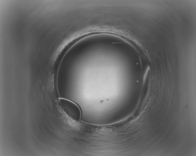 X0000060811503200511101439