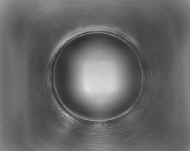 X0000060811504200511101439