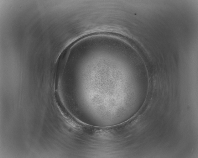 X0000060811505200511101439