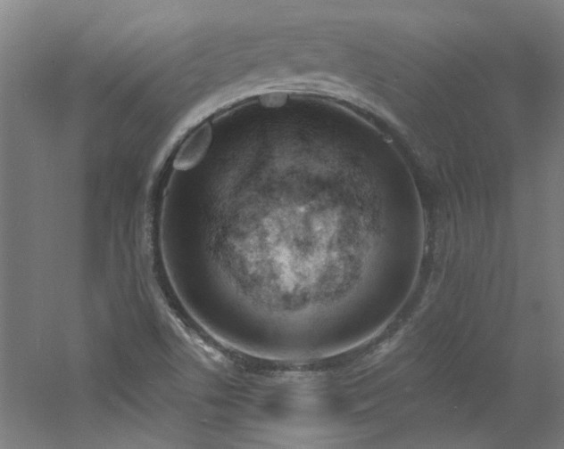 X0000060811506200511101439