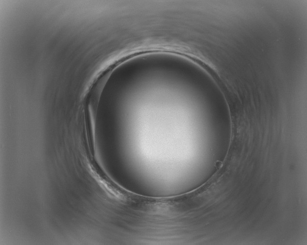 X0000060811507200511101439