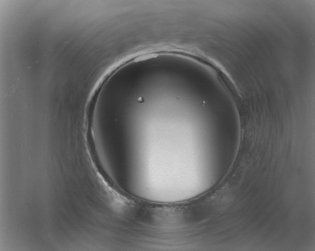 X0000060811508200511101439