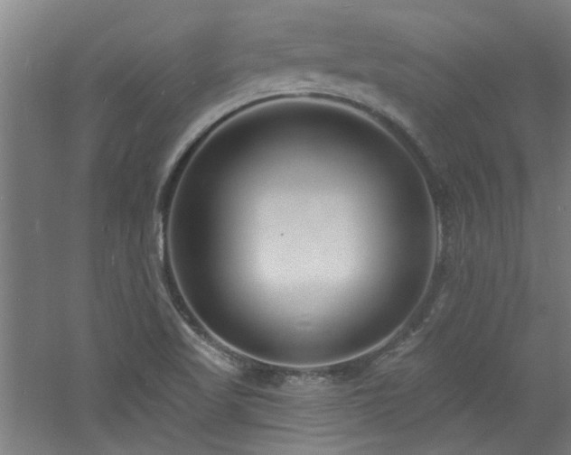 X0000060811509200511101439