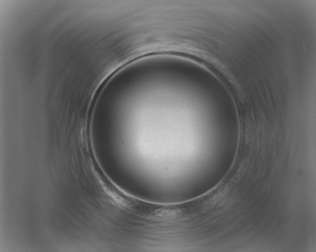 X0000060811513200511101439