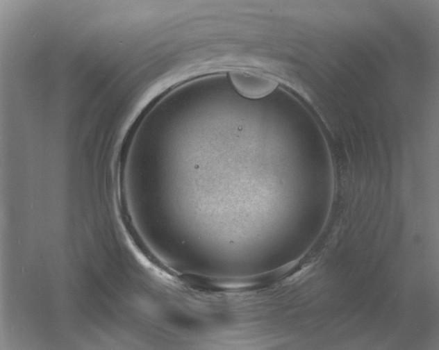 X0000060811515200511101439