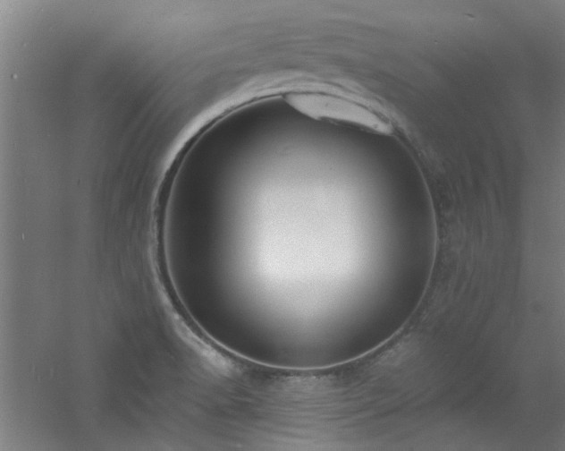 X0000060811518200511101439