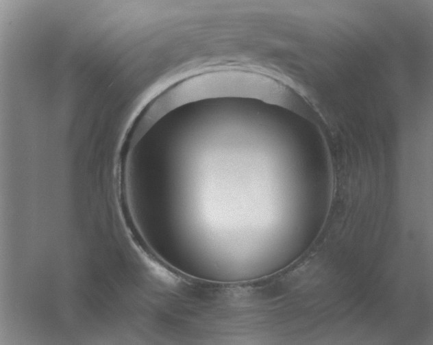 X0000060811519200511101439