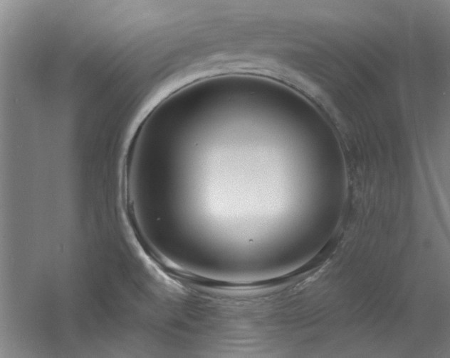 X0000060811520200511101439