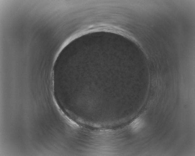 X0000060811522200511101439