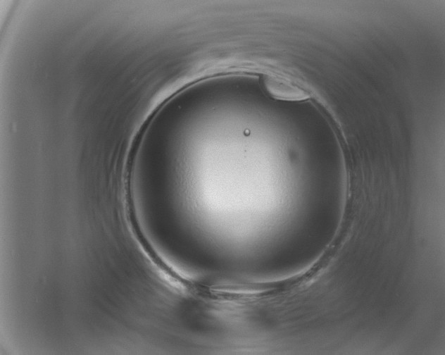 X0000060811525200511101439