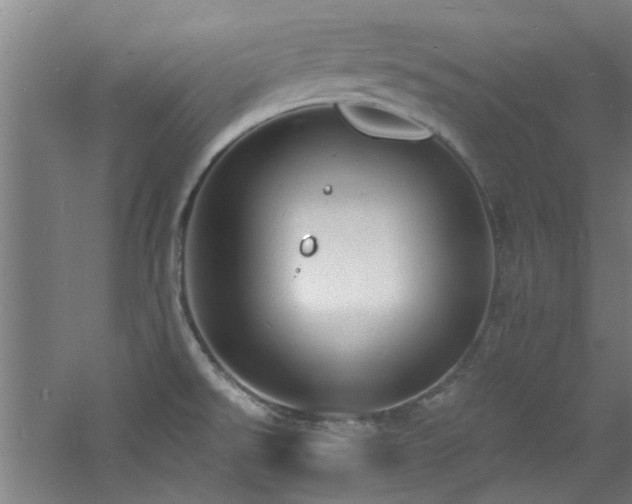 X0000060811526200511101440