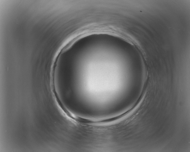 X0000060811528200511101440