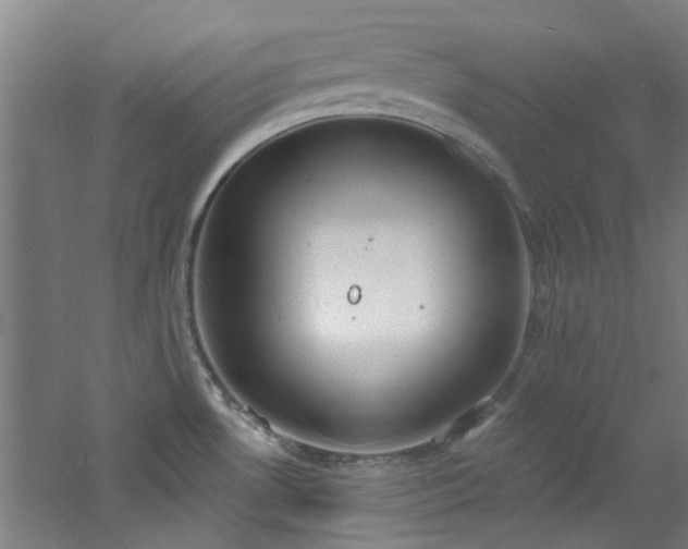 X0000060811530200511101440