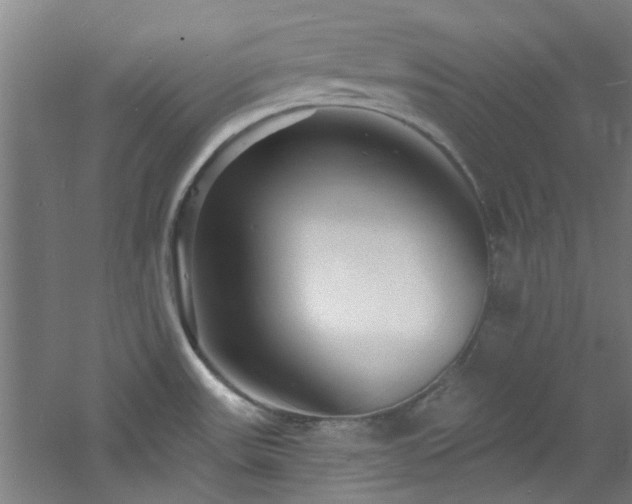 X0000060811531200511101440