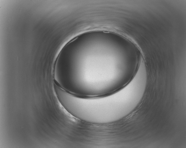 X0000060811532200511101440