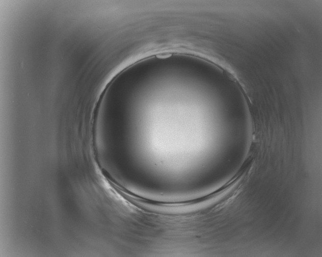 X0000060811534200511101440