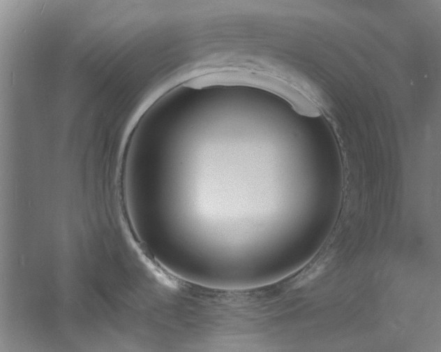 X0000060811536200511101440