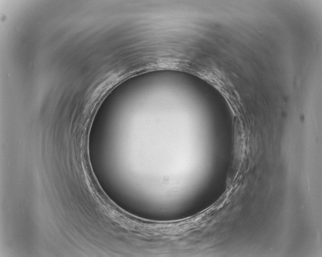 X0000060810001200511141518