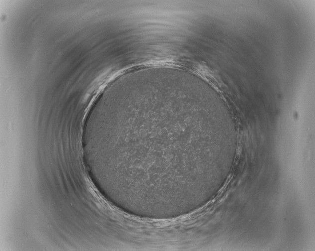 X0000060810002200511141518