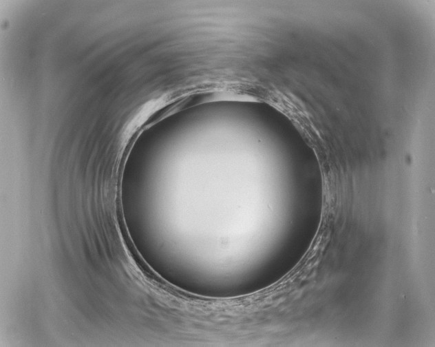 X0000060810003200511141518