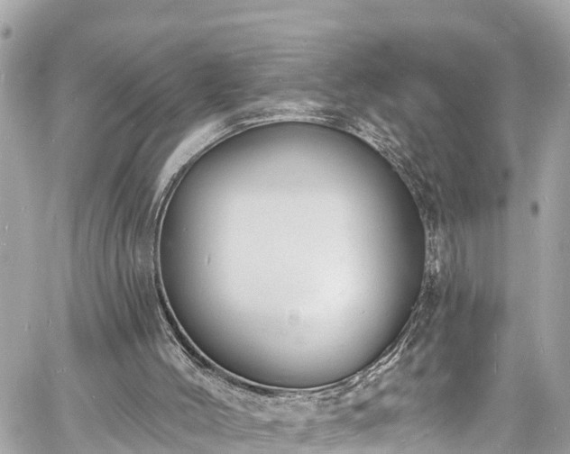 X0000060810004200511141518