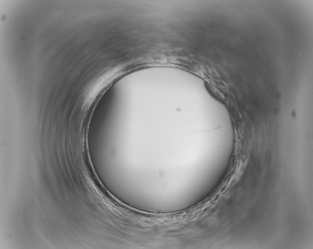 X0000060810005200511141518