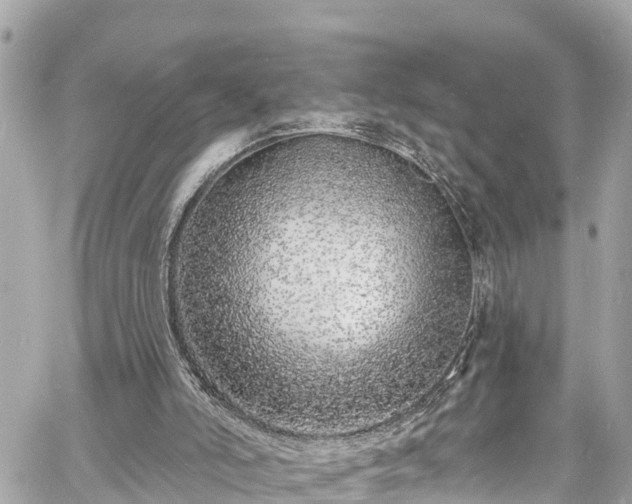 X0000060810006200511141518