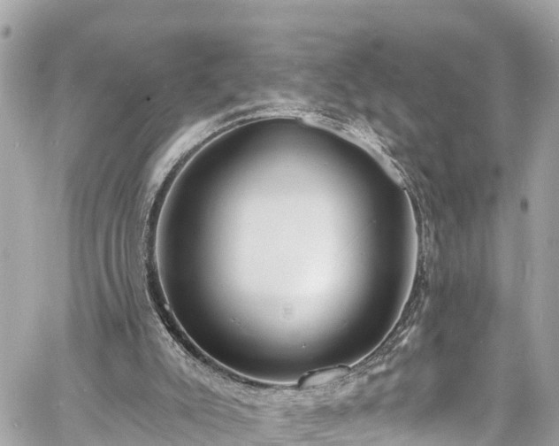 X0000060810007200511141518