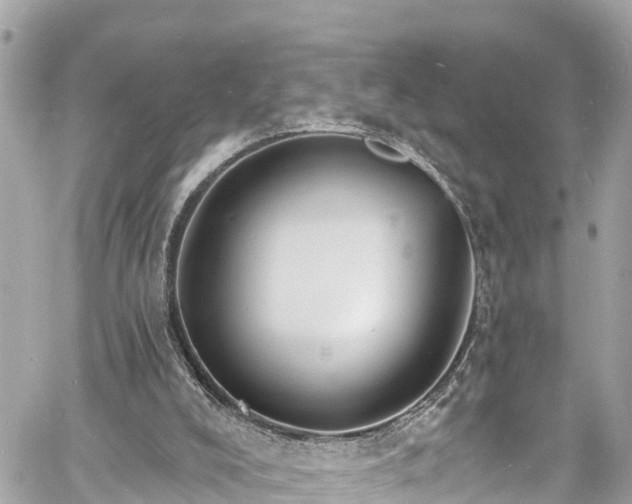 X0000060810008200511141518