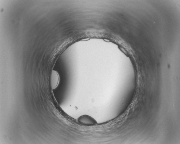 X0000060810009200511141518