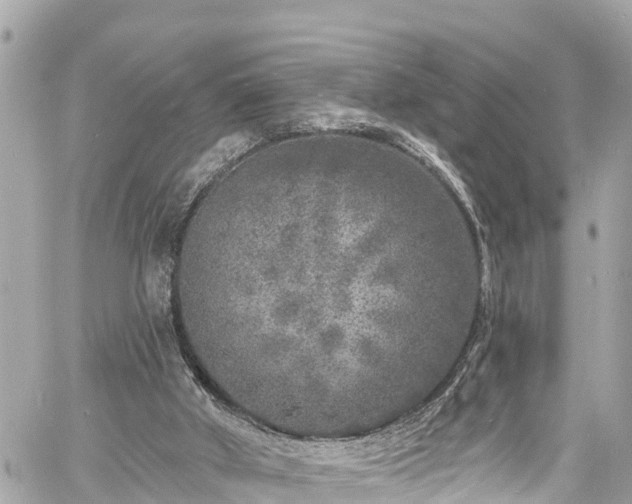 X0000060810010200511141518