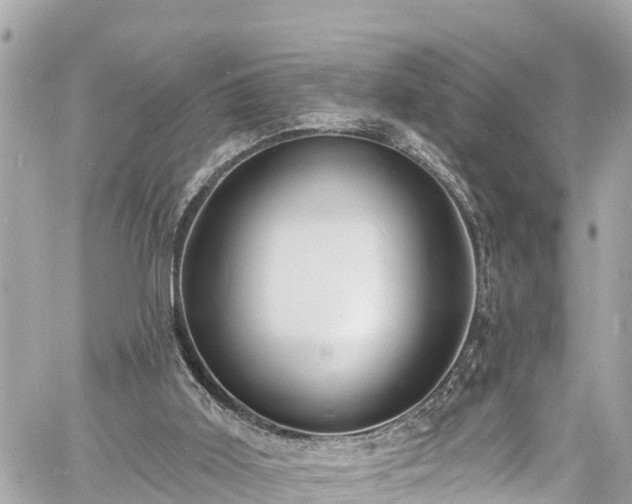 X0000060810011200511141518