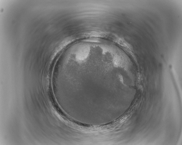 X0000060810012200511141518