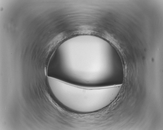 X0000060810013200511141518