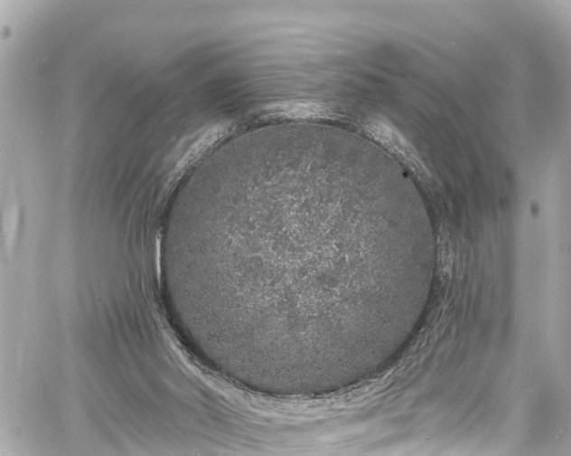 X0000060810014200511141518