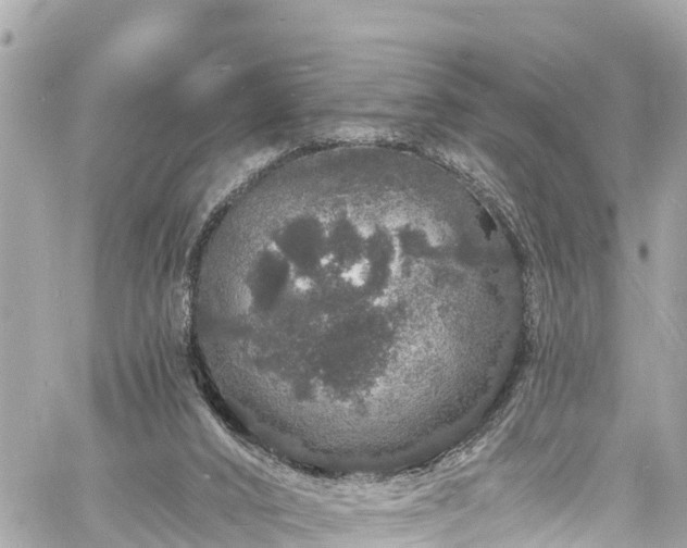 X0000060810016200511141518