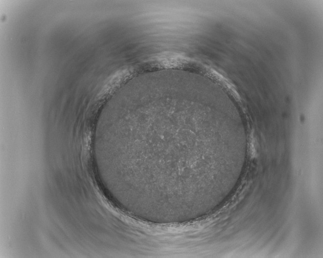 X0000060810018200511141518