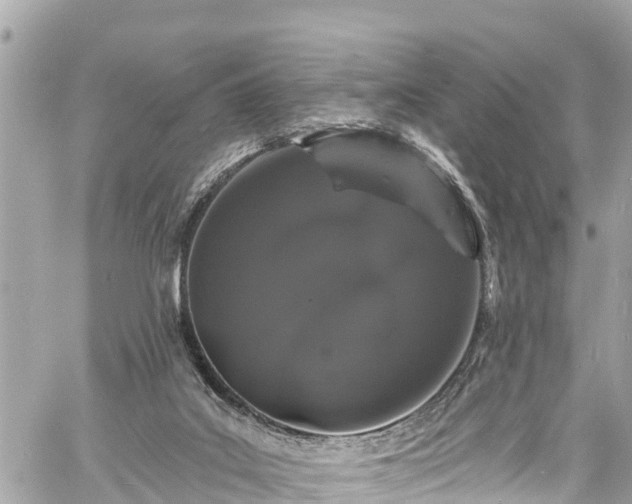 X0000060810019200511141518