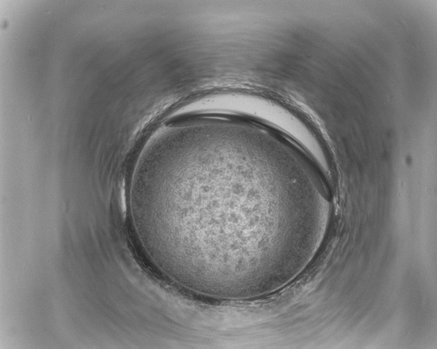 X0000060810020200511141518